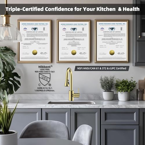 Hibbent NSF/ANSI/CAN 61 & 372 Certified Pull Down Kitchen Faucet Head - color: Polished Brass, style: 1.8 Gallon Per Minute