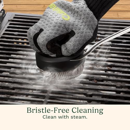 Cuisinart 3-in-1 Chainmail Grill Cleaner, Bristle-Free Dual Function Heavy-Duty Grill Brush with Removable Head, Worry-Free Stainless Steel Steam Clean BBQ Scrubber for Grills & Griddle - color: Chainmail Grill Cleaner Brush
