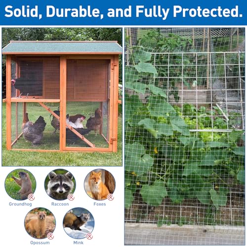 Hardware Cloth,Chicken Wire Fence,1/2 inch 15.7in x 10ft Galvanized Welded Cage Wire for Bird Wire Gopher Wire Rabbit Wire Snake Fence Poultry Netting Cage Screen - size: 15.7in×10ft