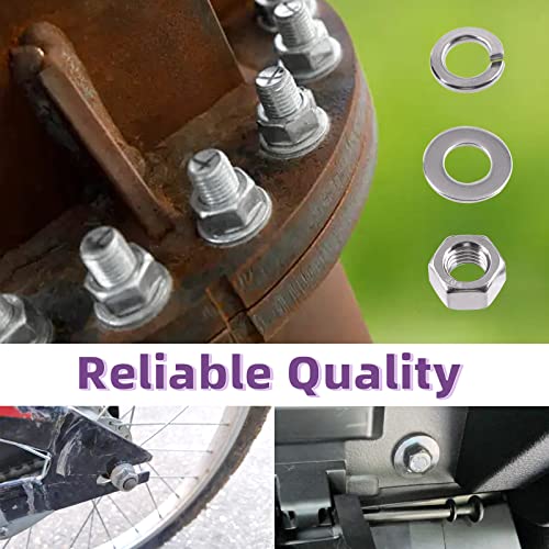 Swpeet 150Pcs SAE 304 Stainless Steel 1/4-20" Hex Nuts and #1/4 Flat Washers with #1/4 Split Lock Washers Assortment Kit, Coarse Thread Hexagon Nut for Home Automotive Shop Use - size: #1/4-20 Hex Nuts & Washers
