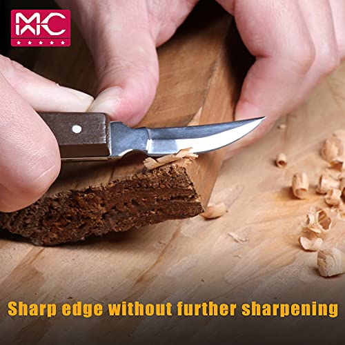 Woodworking 11 PC Carving Chisel Set with Wooden Storage Case - Gouges, Chisels and knifes for Hobbyists and Professional Wood Carving Tool - size: 11 Piece Carving Chisel