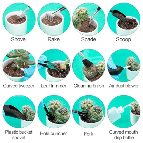 ANPHSIN 20pcs Small Gardening Tools Gifts for Women Beginners, Green | Garden Hand Tools Set for Indoor Succulent Bonsai Plants Transplanting, Included 39" Plant Repotting Mat/Mini Shovel/Labels - color: Green