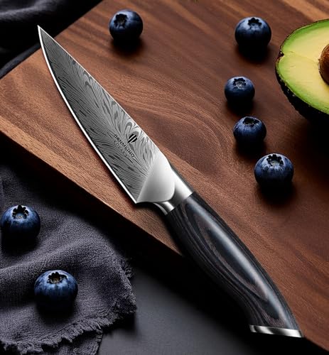 Kitchen Paring Knife 4“, Japanese Powder Steel 63 HRC - size: 4"