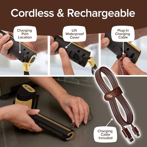 Horsepower Giddy Up Gold Bristle-Free Spinning Grill Brush, Cordless - style: Extra Battery Life