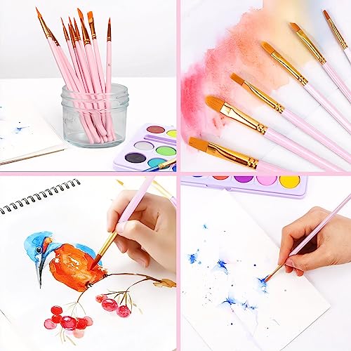 AROIC Acrylic Paint Brushes, 6 Packs/60 pcs Nylon Hair Paint Brush Set - size: 60pcs-pink