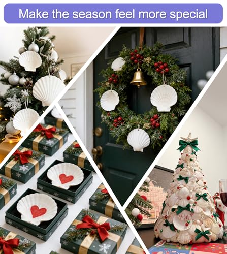 denking Large Scallop Shells, 30 PCS, 4-5 Inch - color: 30pcs 4"-5"