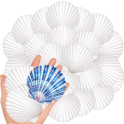 20Pcs 2-3 Inch Scallop Shells for Crafts - size: 2-3 Inch 20Pcs