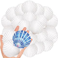 20Pcs 2-3 Inch Scallop Shells for Crafts - size: 2-3 Inch 20Pcs