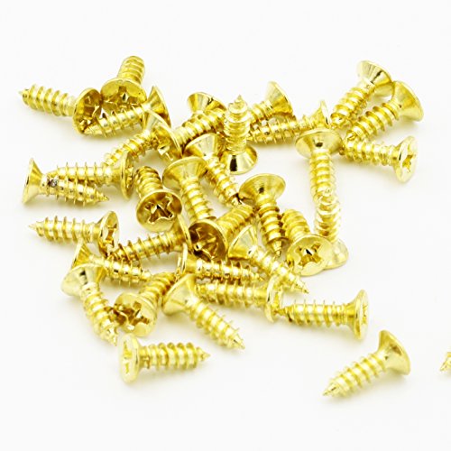 Brass Countersunk Head Wood Screw Assortment Kit,Pack of 500,Gold