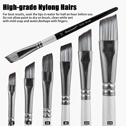 Genixart Angle Paint Brush Set – Art Paintbrushes Acrylic Oil Watercolor - size: Angle - 6 Pcs