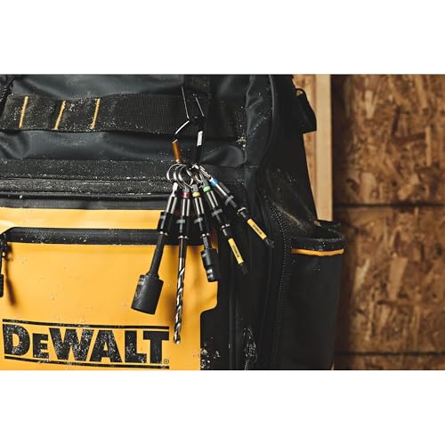 DEWALT Keyring Bit Holder Set 1/4 Inch Hex Bits, Durable Metal Bit Holder Key Chain (DWAFHLDKC5)