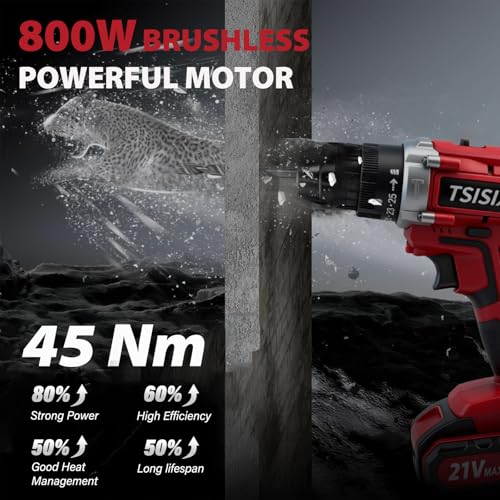 Power Drill Driver 21V, 45Nm Cordless Drill Set with 2 Batteries and Charger, 39pcs Screw Accessories, 354 in-lbs Electric Screwdriver, Electric Drill for Women, Men, Home performance, DIY (Red)