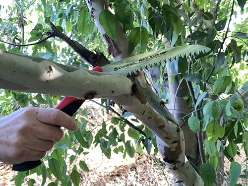 Corona RS 7245 Razor Tooth Folding Saw, 7-Inch Curved Blade, Steel - size: 7-Inch, style: RS 7245
