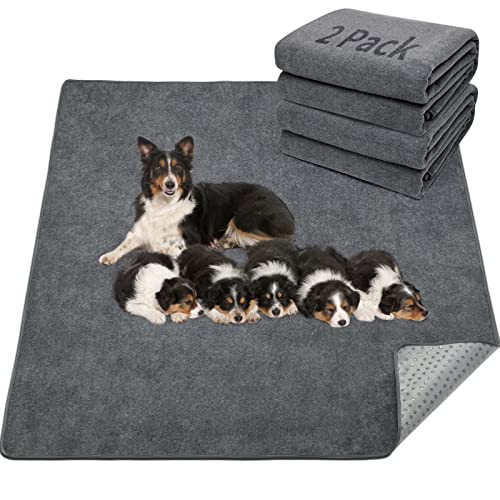 LOOBANI 2 Packs Extra Large Reusable Dog Mat for Floor, Non-Slip Washable Pee Pads for Dogs, Fast Absorbent Pet Whelping Pads, Puppy Playpen Mat for Incontinence, Housebreak, Crate, 36"x48", Gray - size: 36"*48"(Pack of 2) Gray
