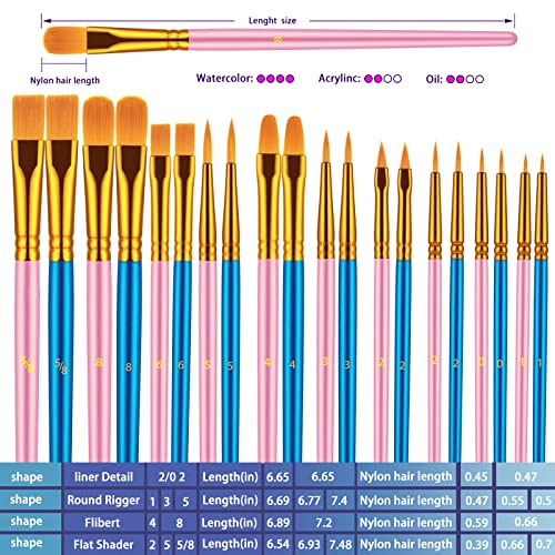 Artstorys Paint Brushes Set, 20 Pcs Acrylic Oil Watercolor Painting Brushes - color: Blue,pink