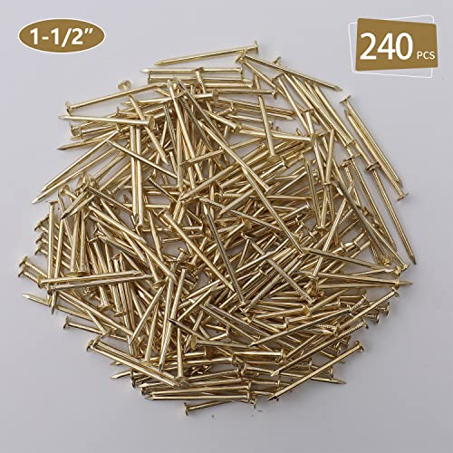 JEGONFRI 240PCS 1-1/2" x 14Ga Brass Plated Nails for Hanging Pictures - color: Gold, size: 1-1/2 In , 240 Pcs