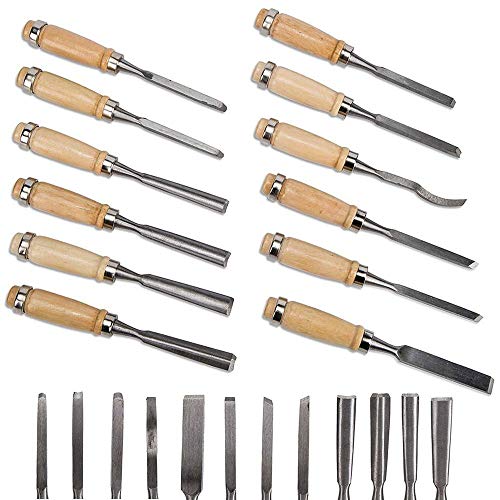 Professional Wood Carving Chisel Set - 12 Piece Sharp Woodworking Tools w/Carrying Case - Great for Beginners