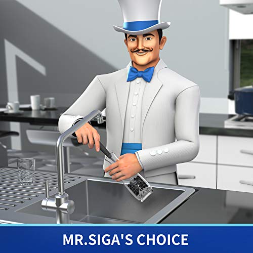 MR.SIGA Long Handle Bottle Brush, Non-Scratch Water Bottle Brush Cleaner - color: Black
