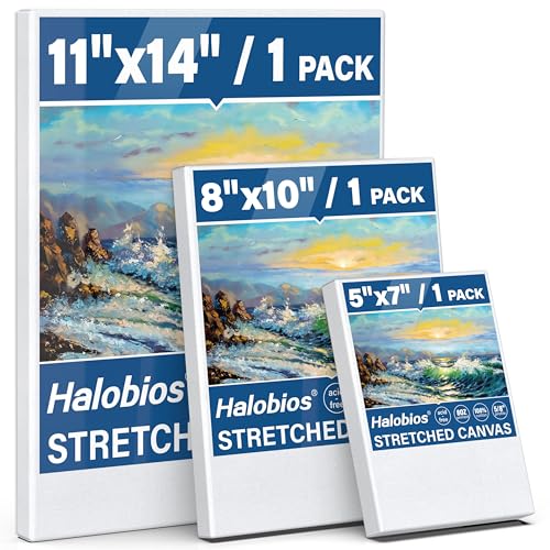 Halobios Stretched Canvases for Painting with 11x14 Inch, 5x7 Inch, 8x10, Painting Canvas for Acrylics,Oils & Other Painting Media, 5/8 Inch Profile 100% Cotton Artist Framed Canvas(3 Packs) - size: 3 Pack Mixed - 11×14IN 8×10IN 5×7IN