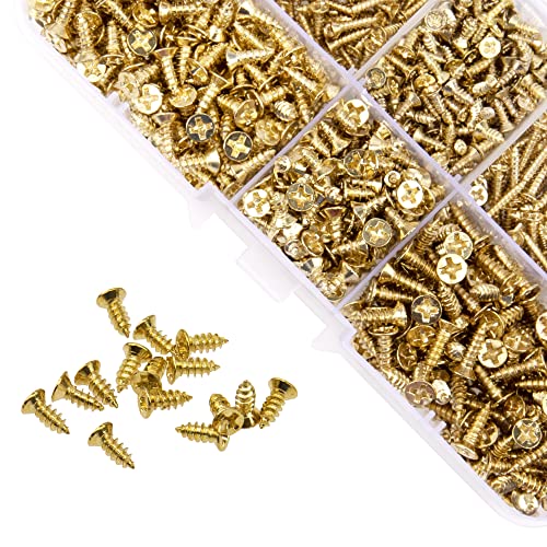 1150Pcs M2 M3 Gold Plate Carbon Steel Small Screws Phillips Flat Head Cross Self Tapping Tiny Screw Cabinet Electronic Accessories Screw DIY Micro Woodworking Mini Screw Assortment Kit