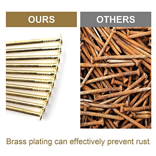 358PCS Brass Plated Nails Assortment Kit, 6 Sizes for Hanging & Woodworking - style: 358pcs Gold Nails