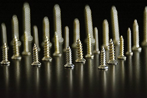 Swordfish 32051-500pc Brass Plated Wood Screw Assortment