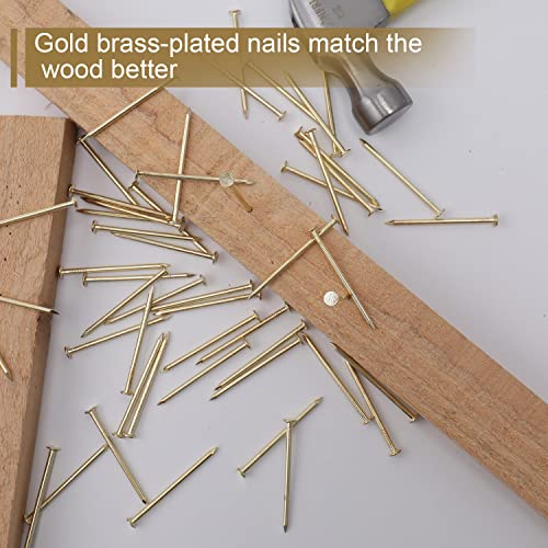 JEGONFRI 120PCS 2" x 13Ga Brass Plated Nails for Hanging Pictures &Woodwork - color: Gold, size: 2 In , 120 Pcs