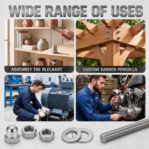 52 Pcs Stainless Steel M6 Screw Assortment Kit 8 Pcs 10"(255mm) Long M6 Fully Threaded Rod 16 Hex Lock Nuts 8 Acorn Cap Nuts and 20 Flat Washers