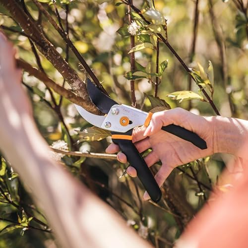 Fiskars Bypass Pruning Shears, 5/8" Cut Capacity Garden Clippers - style: Bypass Pruner