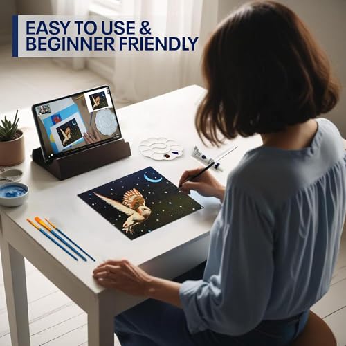 Painting4Real Acrylic Art Painting Kit with Video Tutorials - How to Paint with Acrylic Paint Set for Adults, Learn to Paint Winter Owl - 9 Peices Painting Set for Adults, Beginners, Art Lovers - color: Winter Owl