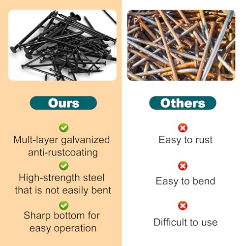 Nail for Hanging Pictures Assortment Kit - 650Pcs Small Nails, Finishing Nails, Hanging Nails, Picture Nails, Wall Nails for Hanging, Pin Nails - size: 650Pcs Black Nails