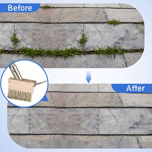 Moss Remover Brush Tool with 65in Handle for Concrete Pavers Crevice