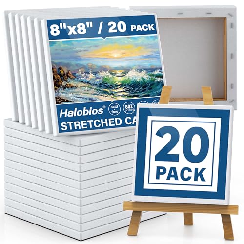 Halobios Professional Stretched Canvases for Painting with 8x8 Inch, 20 Packs Blank Painting Canvas for Acrylics,Oils & Other Painting Media, 5/8 Inch Profile 100% Cotton Artist Framed Canvas - size: 20 Pack - 8×8IN