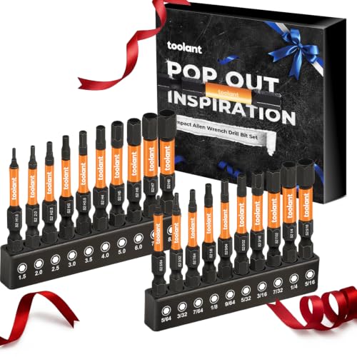 toolant Impact Allen Wrench Drill Bit Set, 20-Piece Metric & SAE, 2-inch - size: 20pcs Hex Bits for Gifts