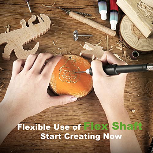 PHALANX 12V Cordless Rotary Tool Kit with Keyless Chuck, 6-Speeds 5000-32000RPM, 119 Accessories with Flex Shaft, Idea for Cutting, Grinding, Wood Carving- Include 2.0AH Battery, Charger (Renewed)