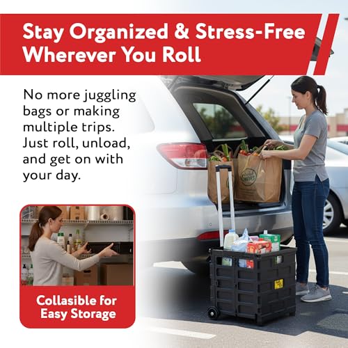 dbest Products Quik Cart Pro Collapsible Rolling Crate on Wheels - Black - color: Black, style: Pro