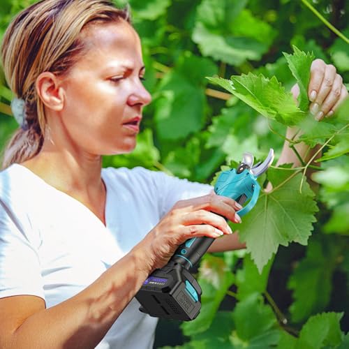 Upgraded Electric Pruning Shears, 1.4" Cutting Diameter Cordless Pruner with LCD Display, Brushless Motor, 2×2.0Ah Rechargeable Batteries & Extra Blade for Garden Trees and Branches - style: LCD-1.4" blue