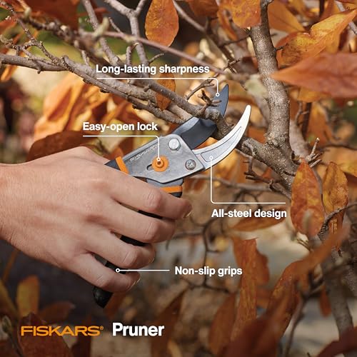 Fiskars 4-Piece House Plant Starter Tool Gift Set, Plant Care Accessories Set for Indoor Gardening and Potting, Pruning Shears with Steel Blade, FiberComp Trowel & Cultivator, L/XL Garden Gloves - style: Houseplant Starter Gift Set