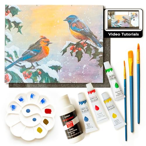 Painting4Real DIY Art Painting Kits for Adults with Video Tutorials - 9 Peices Acrylic Paint Sets, Learn to Paint Winter Birds, Painting & Art Set Supplies for Adults, Teen, Beginners & Art Lovers - color: Winter Birds
