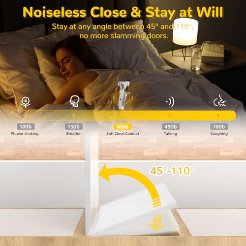 Onemake 4 Pack 110° Face Frame Inset Cabinet Hinges, Soft Closing 3D Adjustment, Clip On Plate, Smooth Slow Close Concealed Hidden Replacement, Easy Installation, Insert Hardware for Kitchen Cupborad