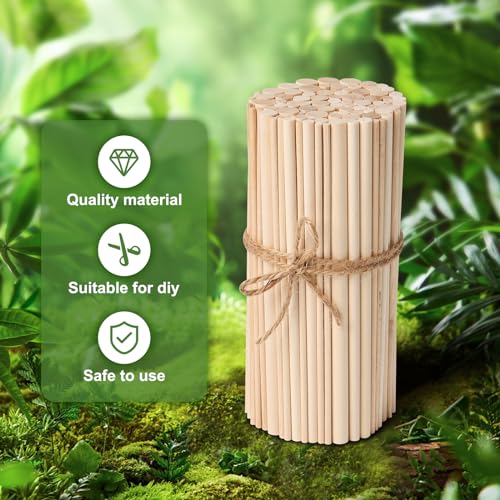 100 Pieces Wooden Dowel Rods Assorted Sizes Wooden Dowels 1/8, 3/16, 1/4, 5/16, 3/8 x 6 Inch Wood Craft Dowel Rods for Crafts and DIY