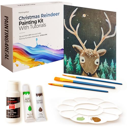Painting4Real Acrylic Art Painting Kit with Video Tutorials - How to Paint with Acrylic Paint Set for Adults, Learn to Paint Reindeer - 9 Peices Painting Set for Adults, Beginners, Art Lovers - color: Christmas Reindeer