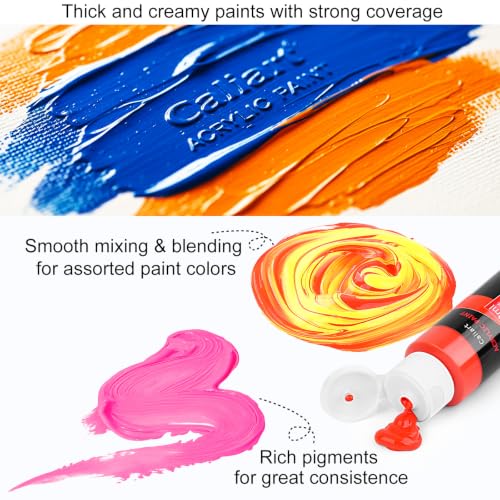 Caliart 24 Colors Acrylic Paint Set with 12 Brushes - color: Regular, size: 2 Fl Oz (Pack of 24)