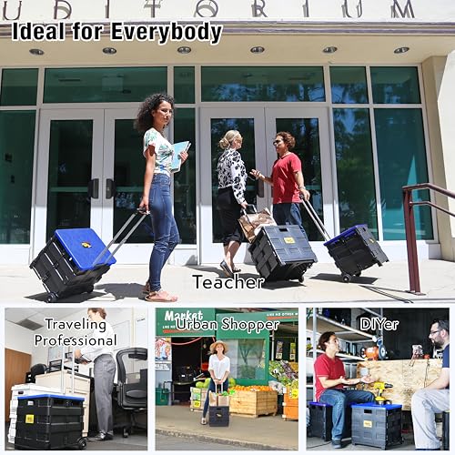 dbest Products Quik Cart Standard Collapsible Rolling Crate - Blue Lid - color: Black, Blue, style: Standard