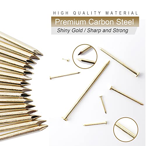 JEGONFRI 550PCS 1" x 16Ga Brass Plated Finishing Nails - color: Gold, size: 1 In , 550 Pcs