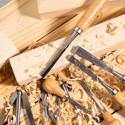 Falling in Art 16 Pcs Professional Wood Carving Knives Chisel Set