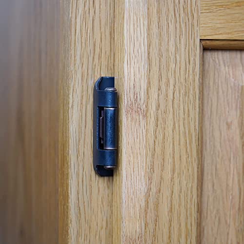 Decobasics Oil Rubbed Bronze Cabinet Hinges for Kitchen Cabinets (10 Pair -20 Pcs) -1/2" Overlay -Self Closing Cabinet Hinges Flush Mount w/Cupboard Silicon Bumpers & Upgraded Screws - color: Oil Rubbed Bronze, size: 20 Pack