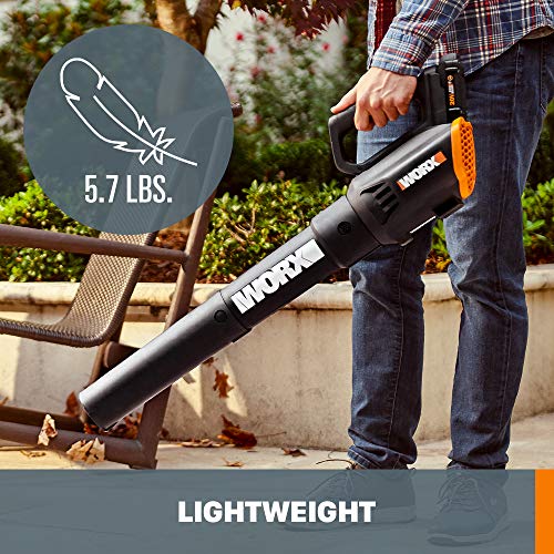 WORX 20V 12" Cordless String Trimmer & 360CFM Leaf Blower Kit, WG928 - style: 12" Trimmer & 360 CFM Blower