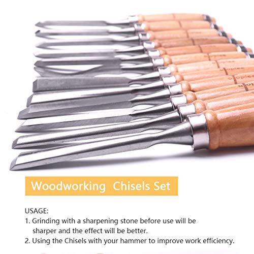 ATOPLEE 12pcs Wood Carving Chisel Set for Woodworking, Professional Wood Gouge Tools with Box and Roll Up Bags for Carpenter Craftsman Gift in Most Carving Project