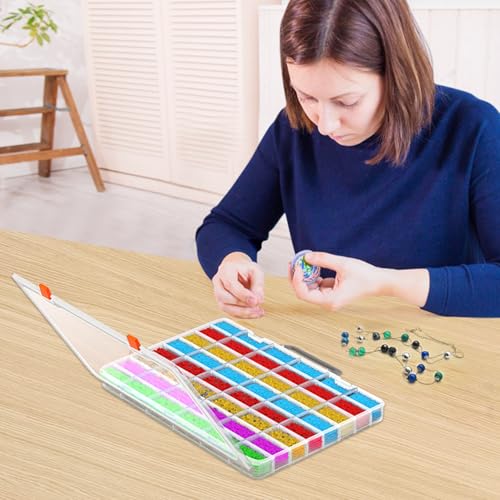 Bluedale 2 Pack 48 Grids Large Plastic Organizer Box with Adjustable Dividers, Beads Storage Containers Compartment Tackle Box Case for Crafts Hobby Small Parts Fishing Seeds Jewelry (Transparent) - size: Transparent-2P